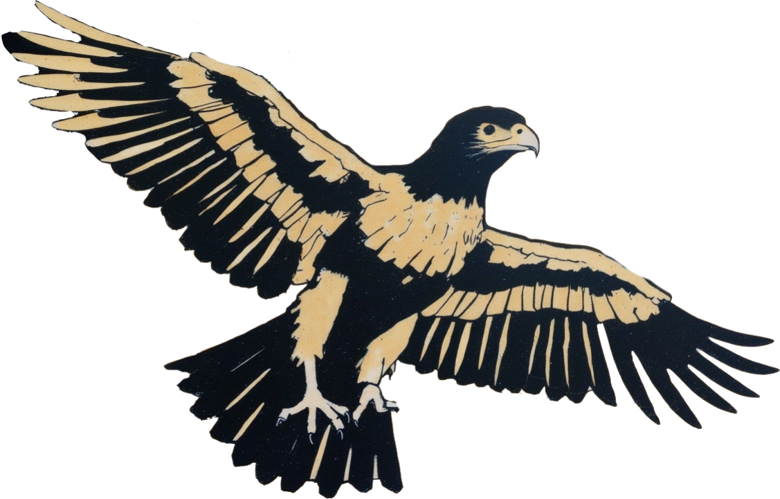 hawk - Celtic Gael mythology by Emma-Jane MacKinnon-Lee