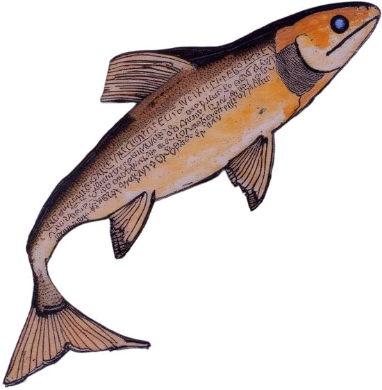 salmon - Celtic Gael mythology by Emma-Jane MacKinnon-Lee